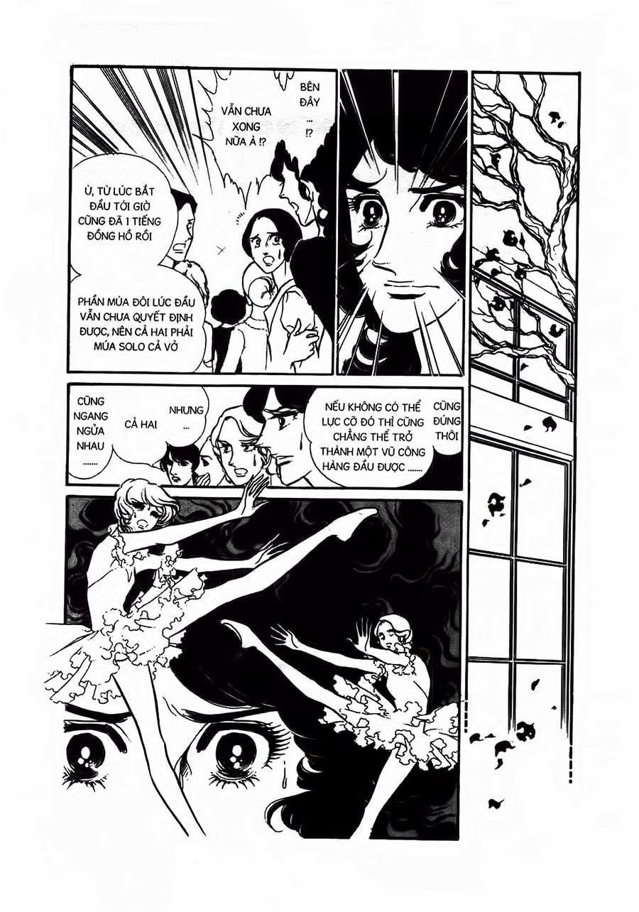 Swan – Vũ Khúc Thiên Nga Chapter 13 - Trang 2