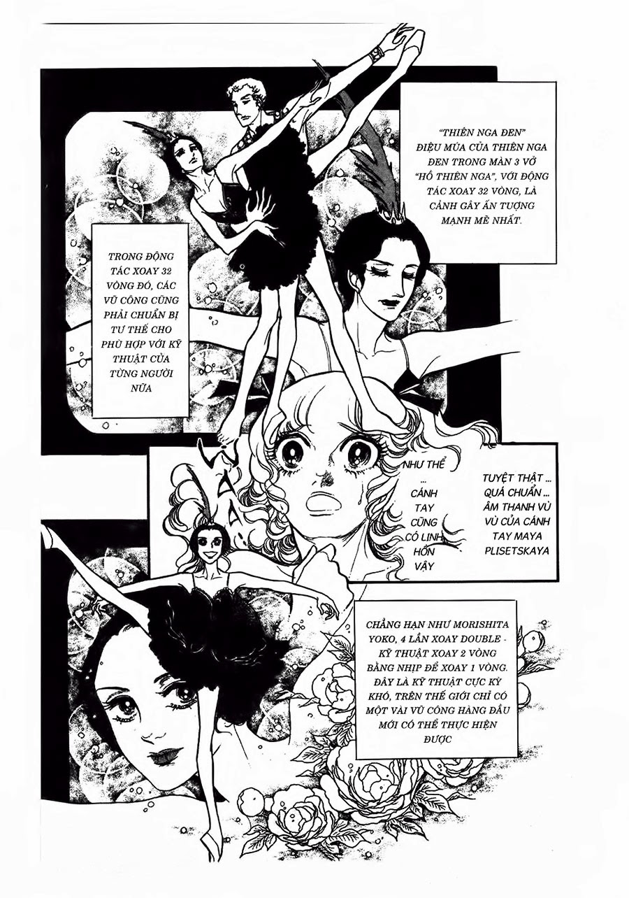 Swan – Vũ Khúc Thiên Nga Chapter 27 - Trang 2