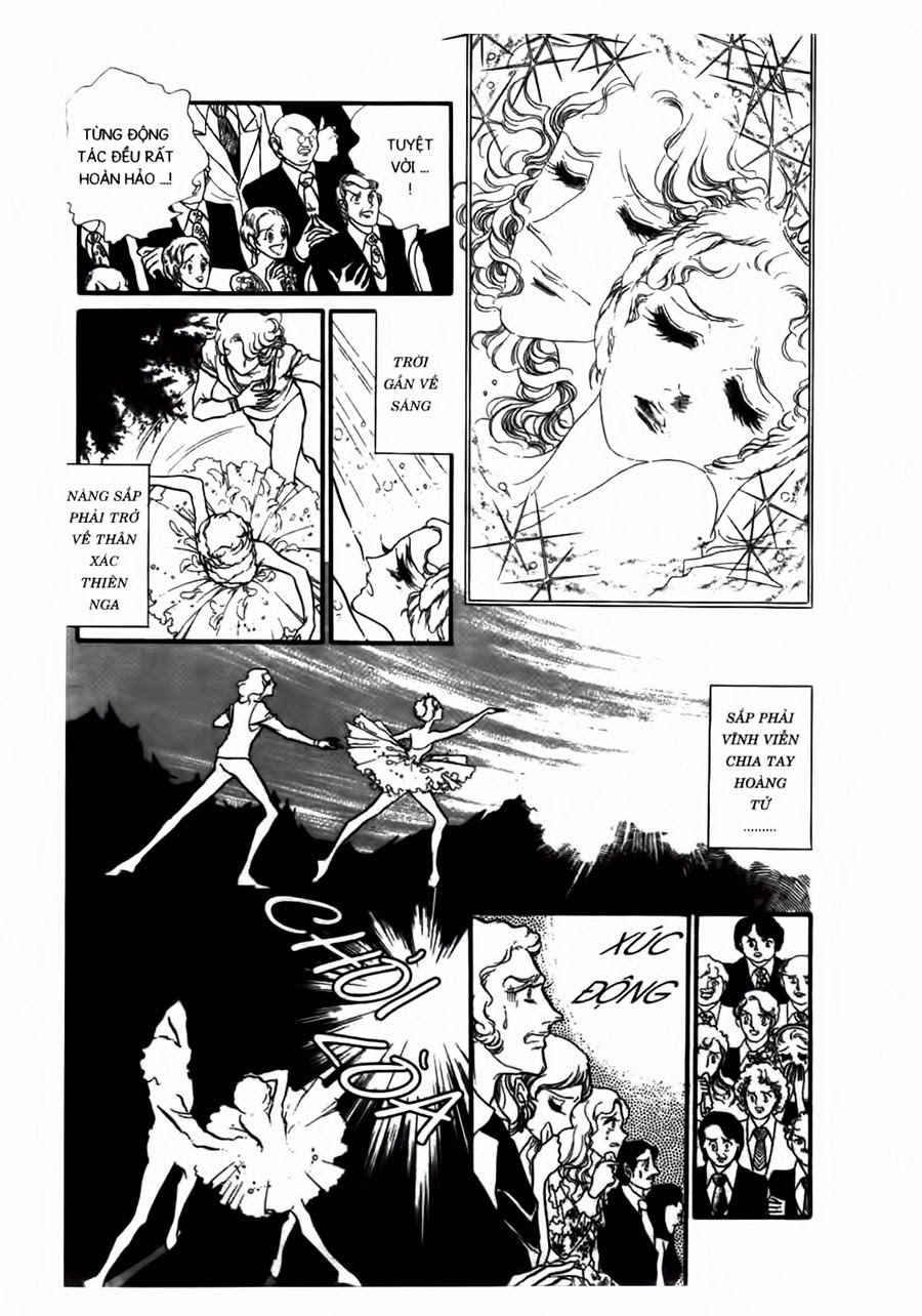 Swan – Vũ Khúc Thiên Nga Chapter 43 - Trang 2