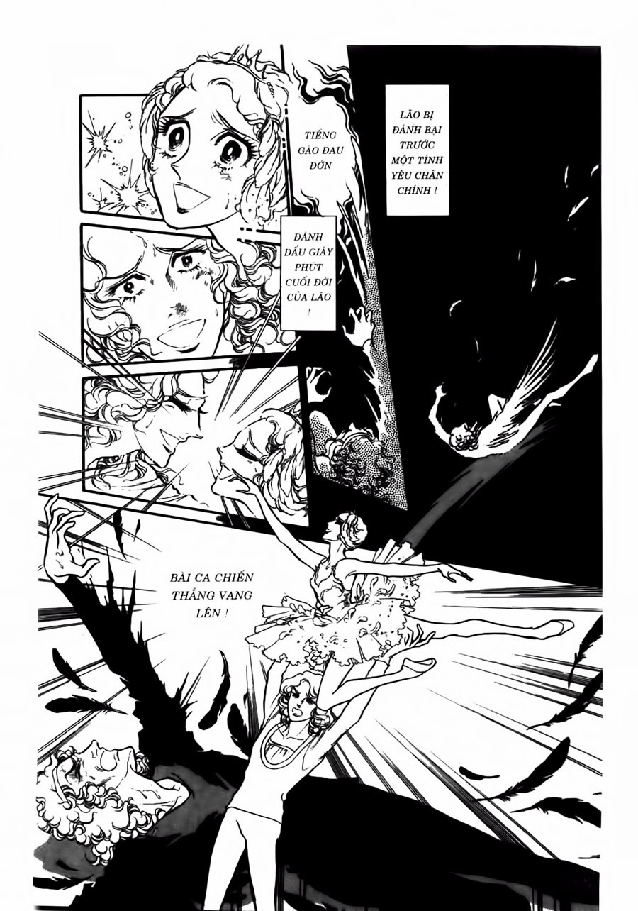 Swan – Vũ Khúc Thiên Nga Chapter 43 - Trang 2