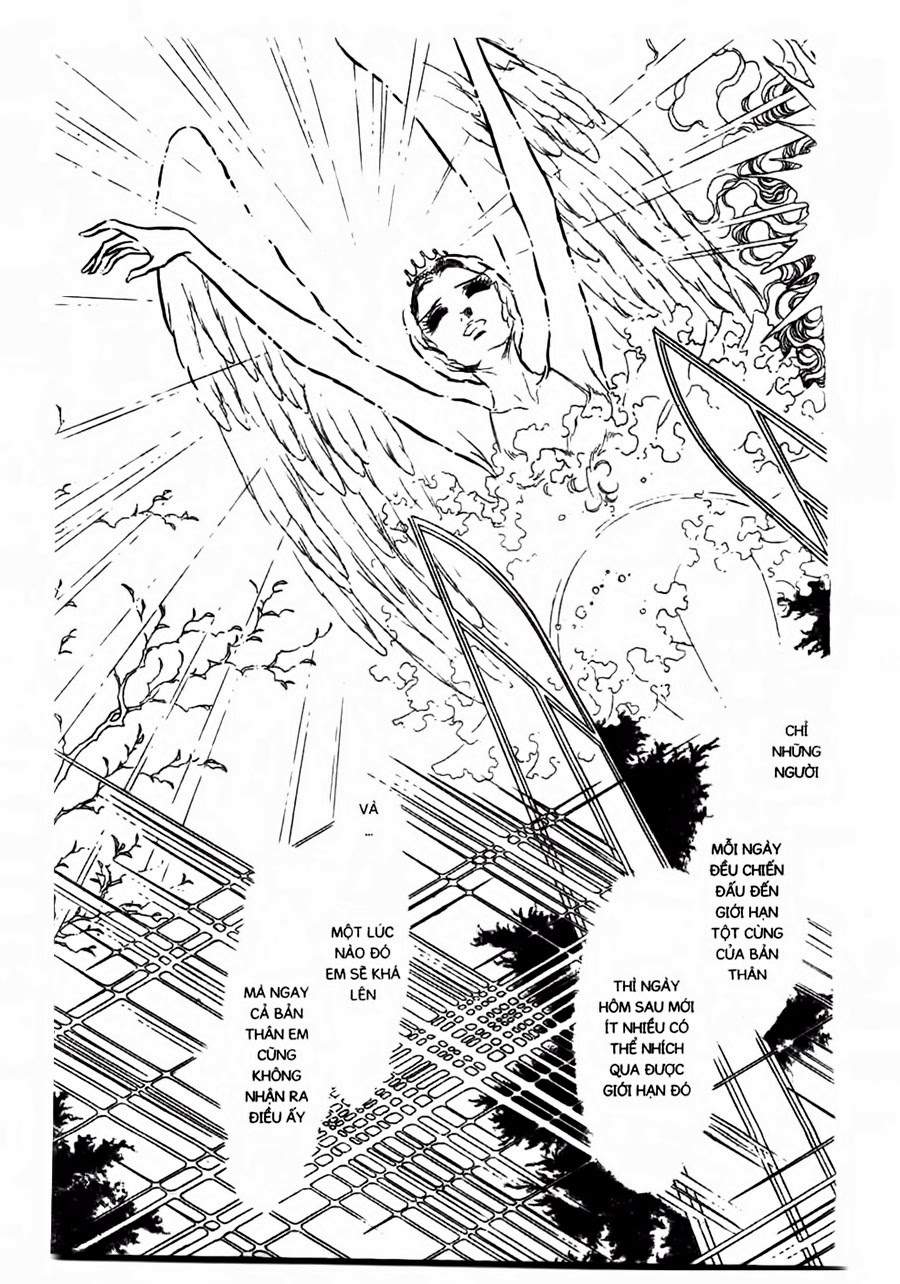 Swan – Vũ Khúc Thiên Nga Chapter 47 - Trang 2