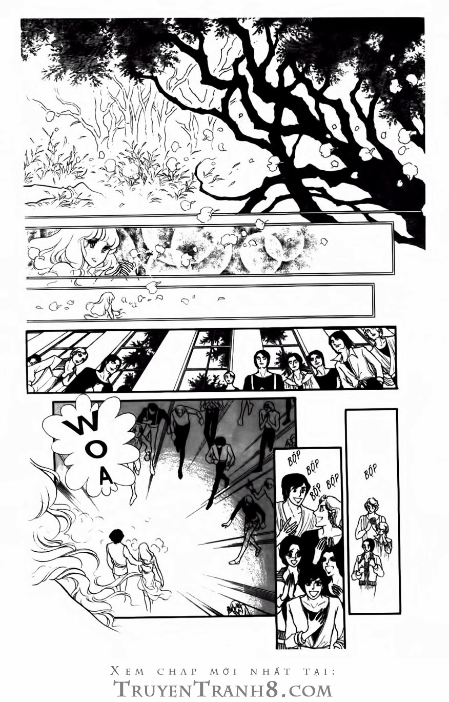 Swan – Vũ Khúc Thiên Nga Chapter 66 - Trang 2