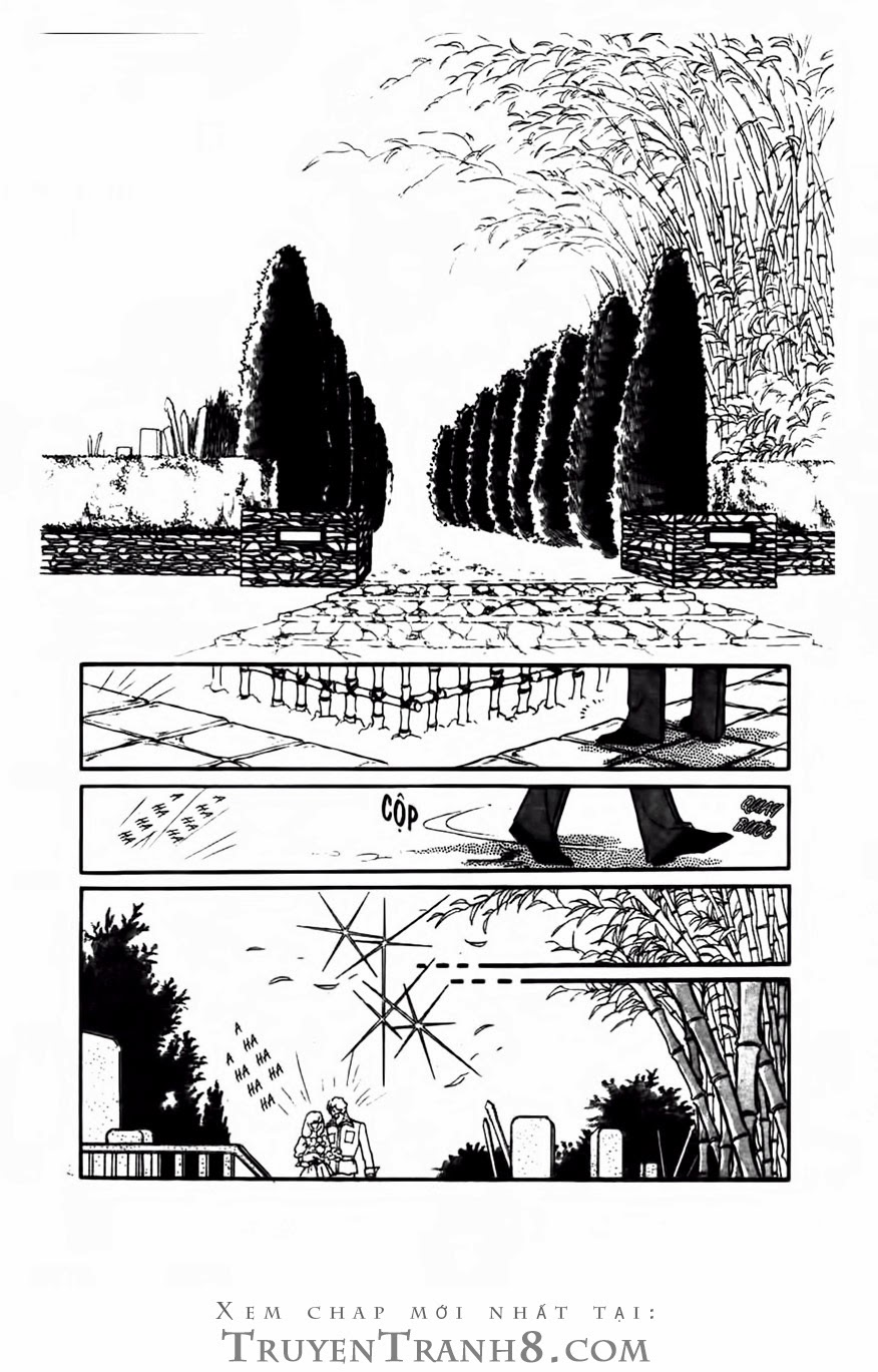 Swan – Vũ Khúc Thiên Nga Chapter 75 - Trang 2