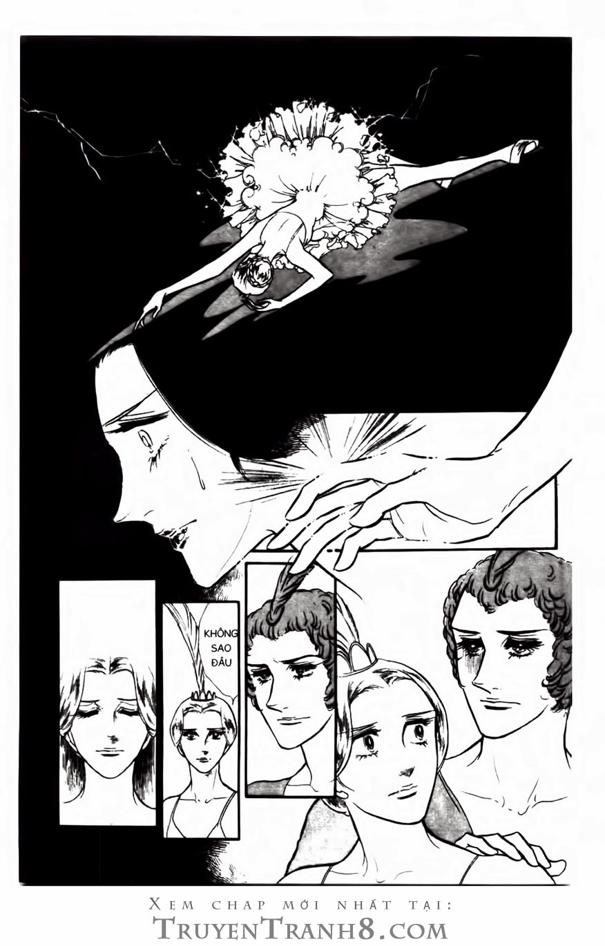 Swan – Vũ Khúc Thiên Nga Chapter 81 - Trang 2