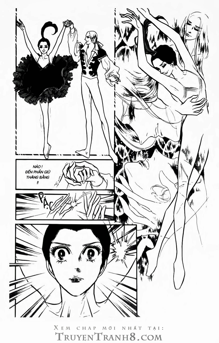Swan – Vũ Khúc Thiên Nga Chapter 82 - Trang 2