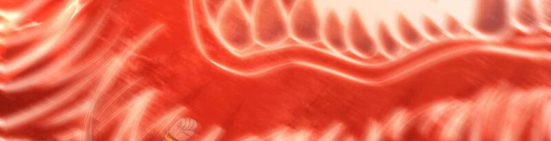 Ta Bị Nhốt Cùng Một Ngày Mười Vạn Năm Chapter 363 - Trang 2