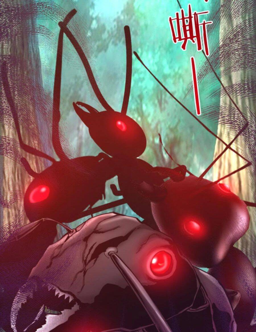 Ta Cày Level Từ Trong Gương Chapter 11 - Trang 2