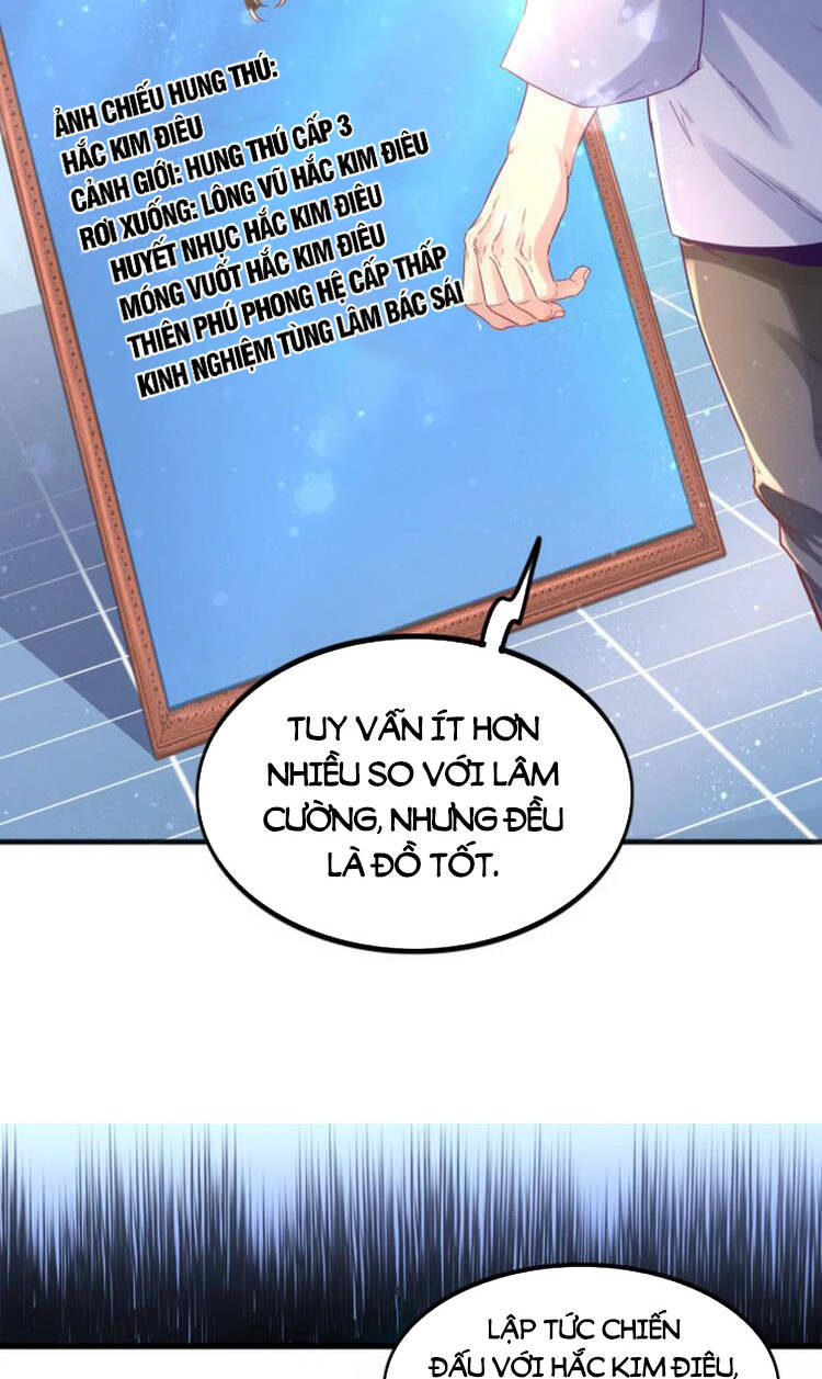 Ta Cày Level Từ Trong Gương Chapter 3 - Trang 2