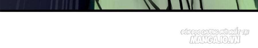 Ta Chỉ Muốn An Tĩnh Chơi Game Chapter 11 - Trang 2