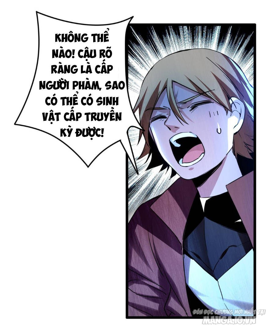 Ta Chỉ Muốn An Tĩnh Chơi Game Chapter 11 - Trang 2