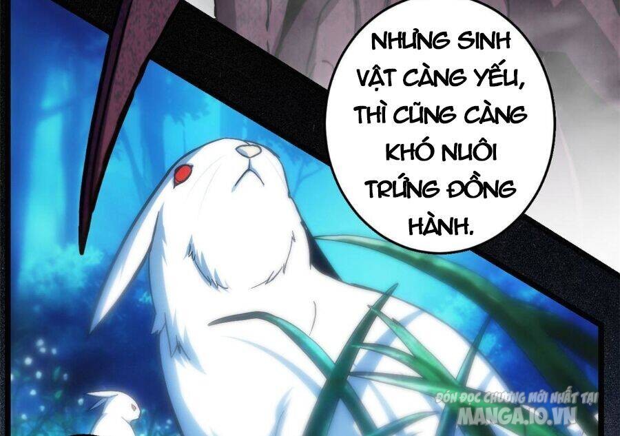 Ta Chỉ Muốn An Tĩnh Chơi Game Chapter 16 - Trang 2