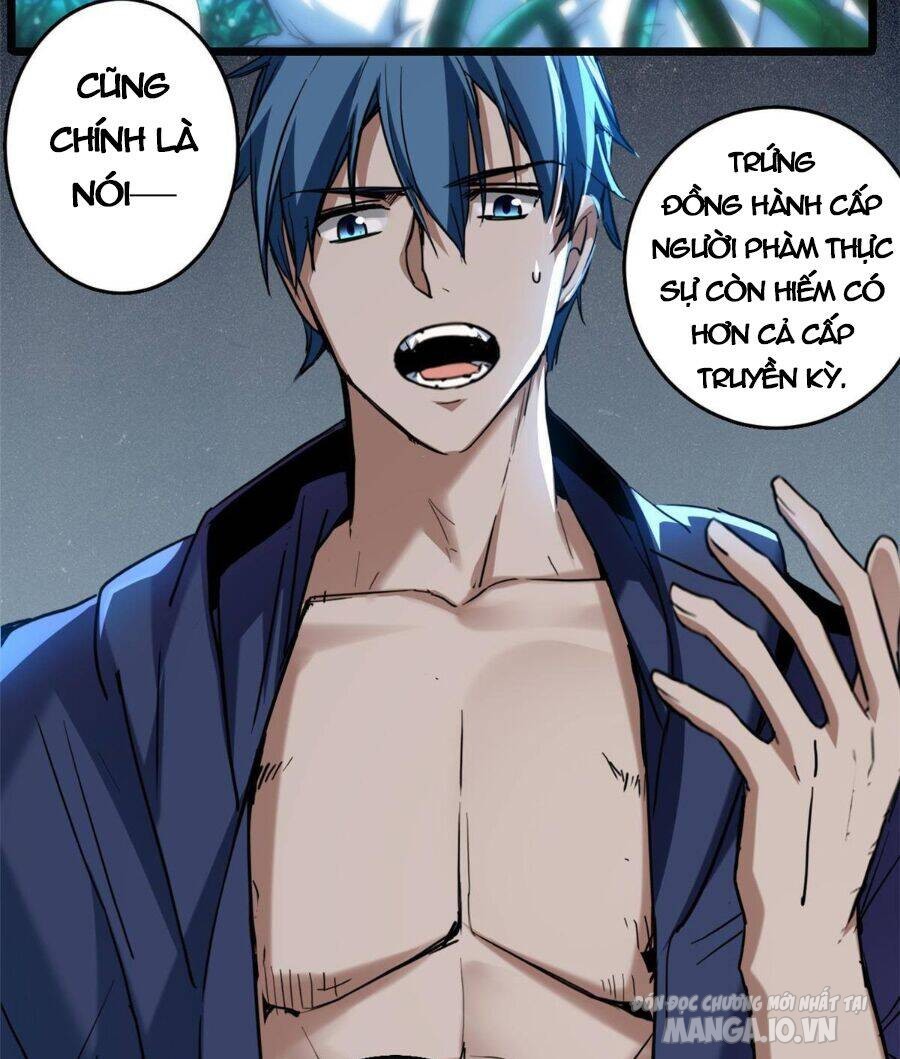 Ta Chỉ Muốn An Tĩnh Chơi Game Chapter 16 - Trang 2