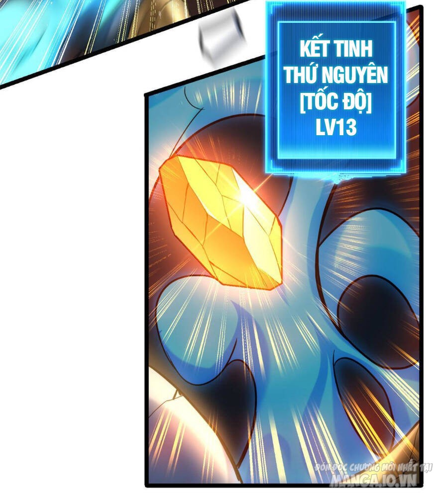 Ta Chỉ Muốn An Tĩnh Chơi Game Chapter 19 - Trang 2