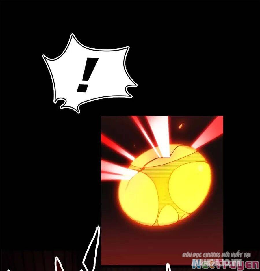 Ta Chỉ Muốn An Tĩnh Chơi Game Chapter 4 - Trang 2