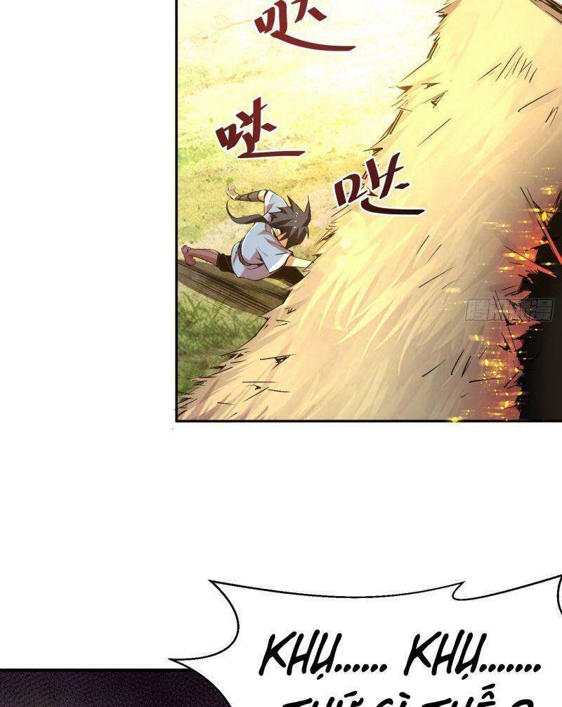 Ta Chỉ Muốn Bị Các Vị Đánh Chết Chapter 2 - Trang 2