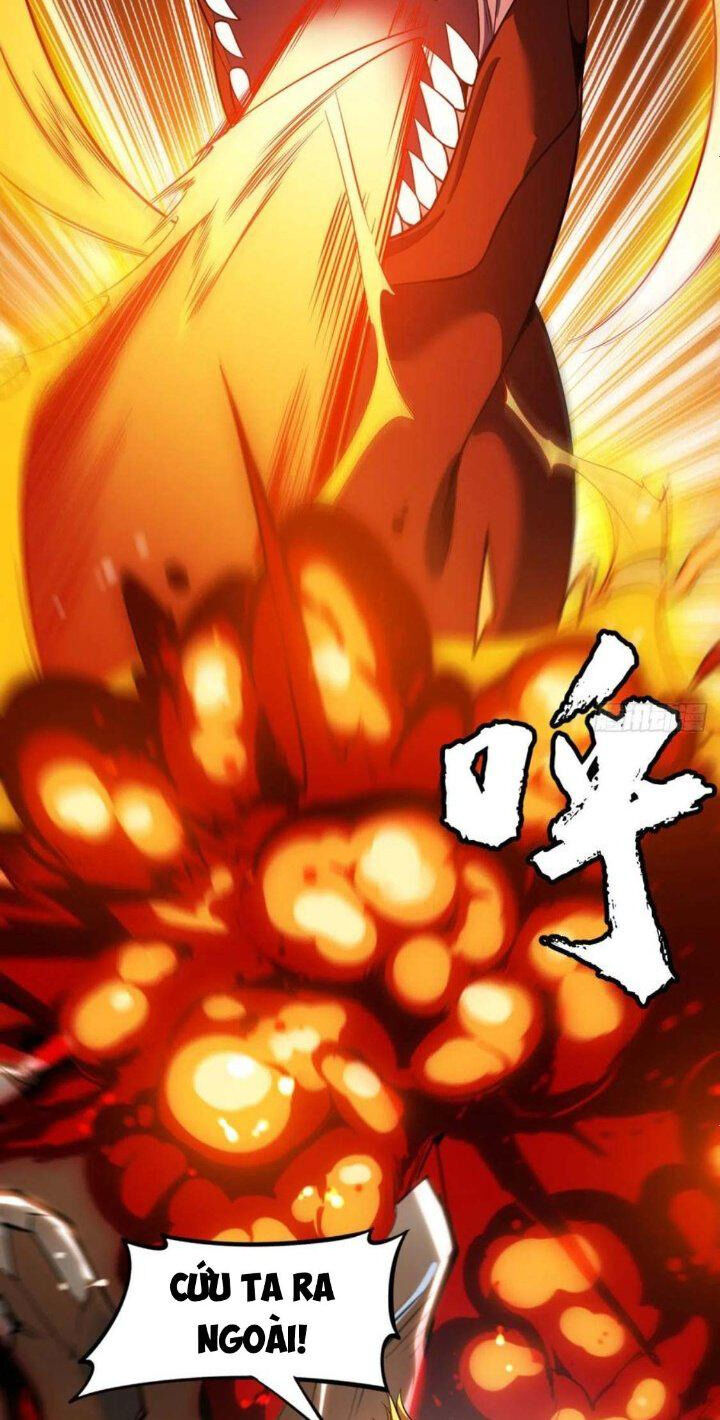 Ta Chỉ Muốn Bị Các Vị Đánh Chết Chapter 68 - Trang 2