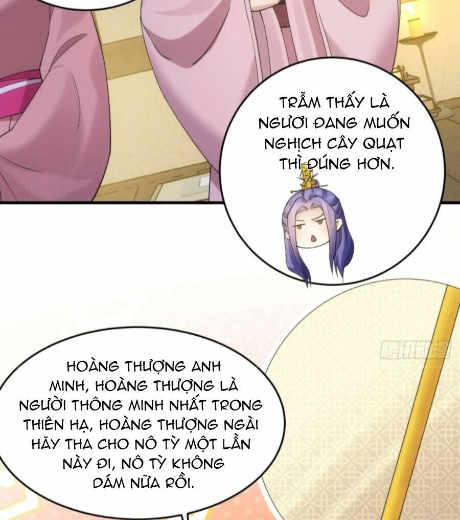 Ta Chính Là Không Theo Sáo Lộ Ra Bài Chapter 157 - Trang 2