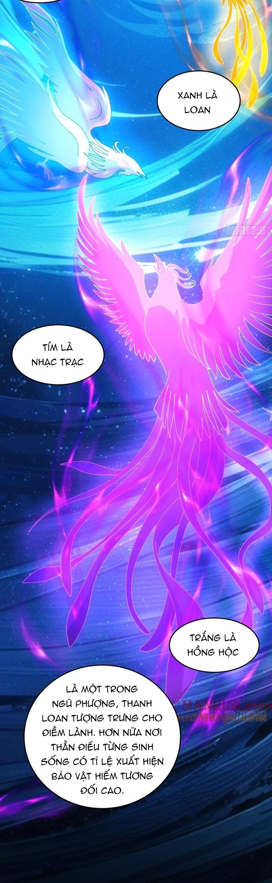 Ta Chính Là Không Theo Sáo Lộ Ra Bài Chapter 209 - Trang 2