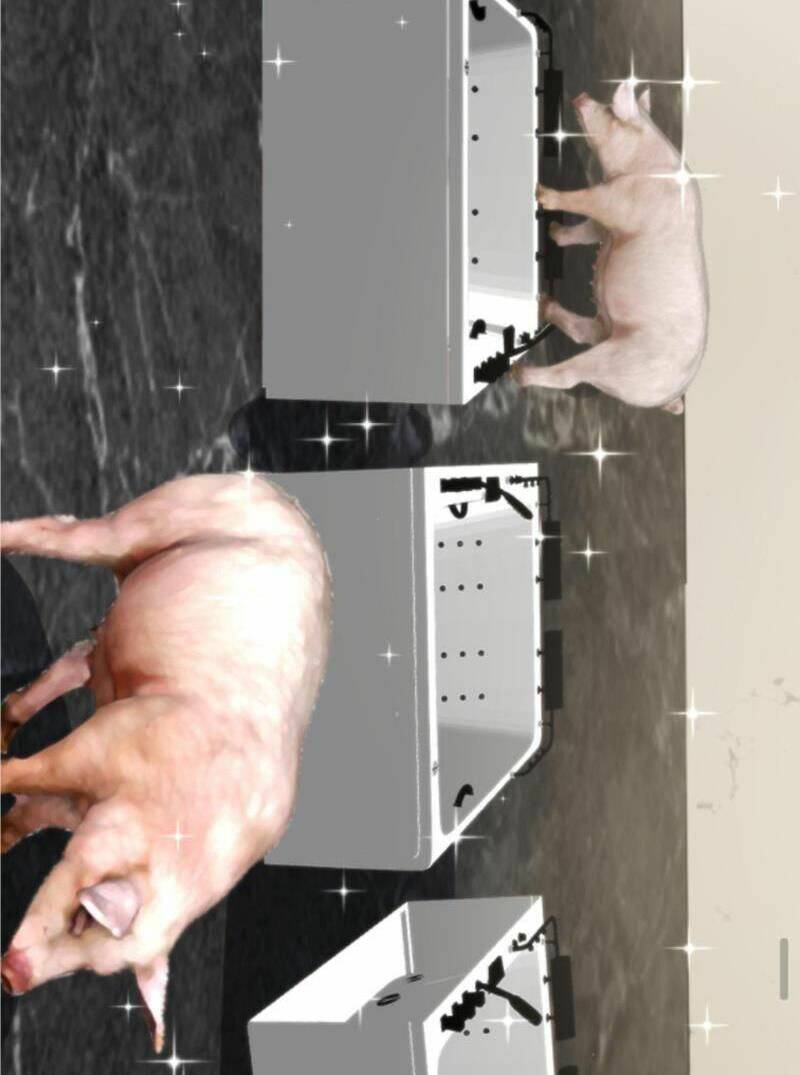 Ta Có 90 Tỷ Tiền Liếm Cẩu! Chapter 149 - Trang 2