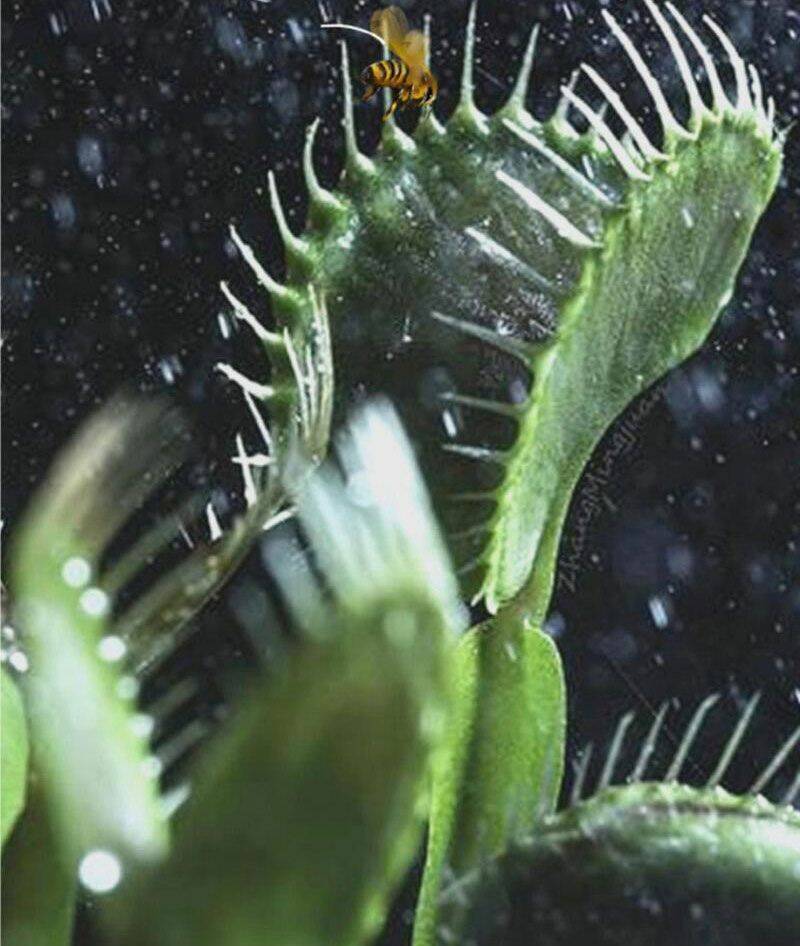 Ta Có 90 Tỷ Tiền Liếm Cẩu! Chapter 154 - Trang 2