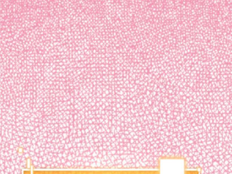 Ta Có 90 Tỷ Tiền Liếm Cẩu! Chapter 181 - Trang 2