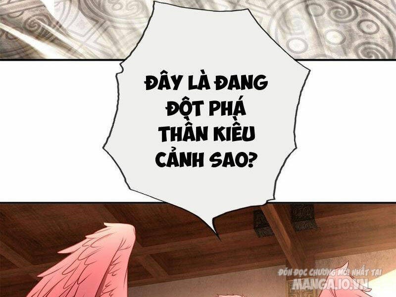 Ta Có Khả Năng Vô Hạn Đốn Ngộ Chapter 74 - Trang 2
