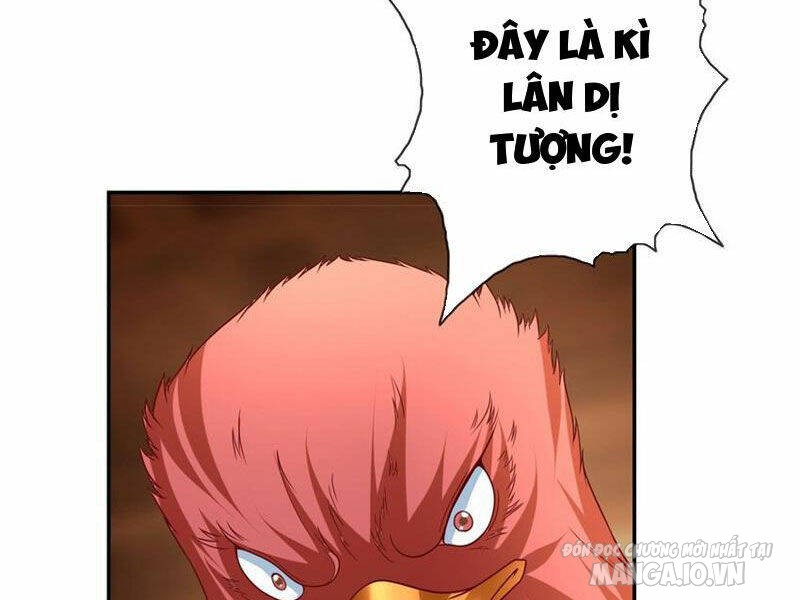Ta Có Khả Năng Vô Hạn Đốn Ngộ Chapter 74 - Trang 2