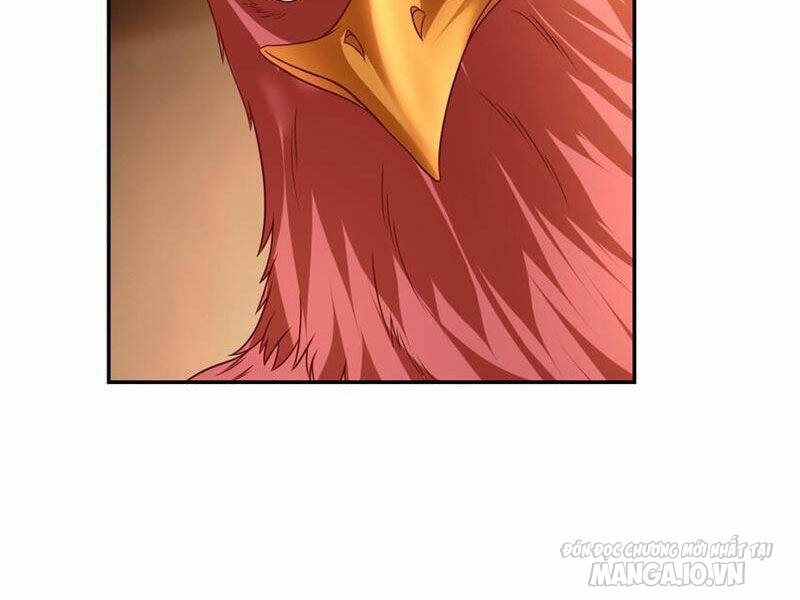 Ta Có Khả Năng Vô Hạn Đốn Ngộ Chapter 74 - Trang 2