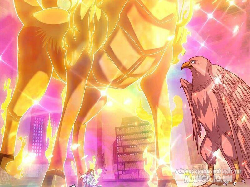 Ta Có Khả Năng Vô Hạn Đốn Ngộ Chapter 74 - Trang 2