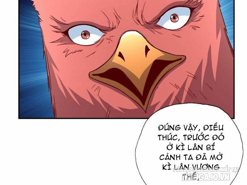 Ta Có Khả Năng Vô Hạn Đốn Ngộ Chapter 74 - Trang 2