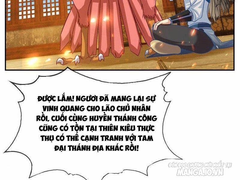 Ta Có Khả Năng Vô Hạn Đốn Ngộ Chapter 75 - Trang 2