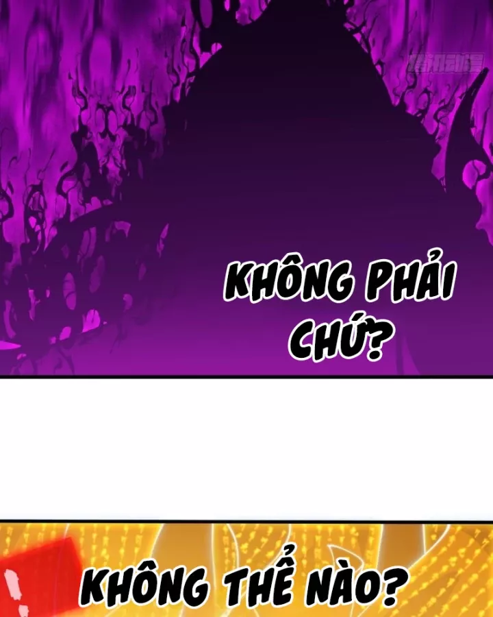 Ta Có Một Sơn Trại Chapter 1248 - Trang 2