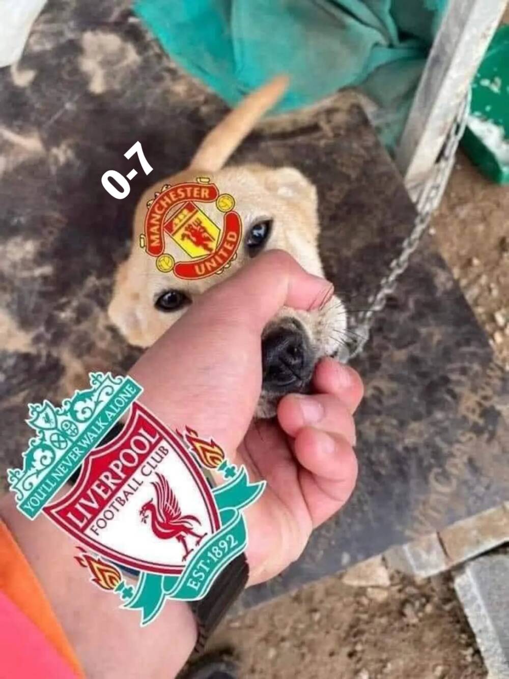 Ta Có Một Tòa Mạt Thế Mê Cung Chapter 150 - Trang 2