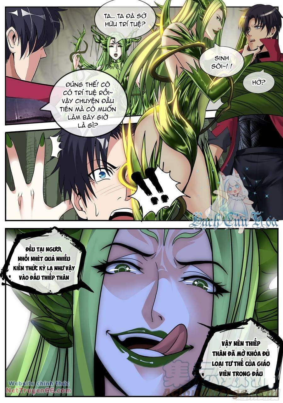 Ta Có Một Tòa Mạt Thế Mê Cung Chapter 204 - Trang 2