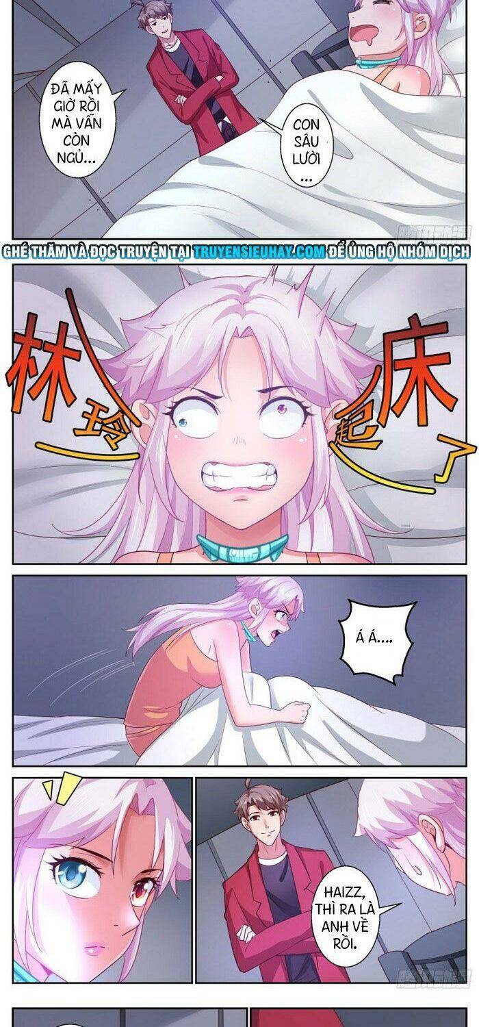 Ta Có Phòng Riêng Thời Tận Thế Chapter 367 - Trang 2