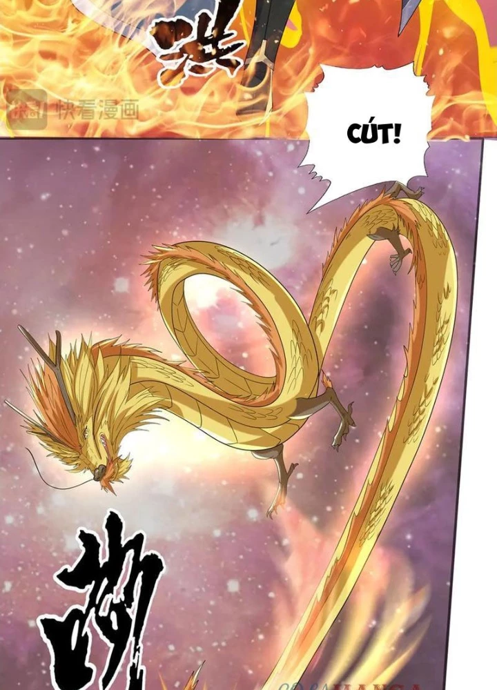 Ta Có Thể Đốn Ngộ Vô Hạn Chapter 258 - Trang 2