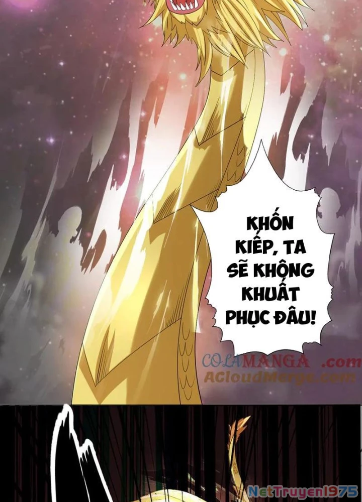 Ta Có Thể Đốn Ngộ Vô Hạn Chapter 259 - Trang 2