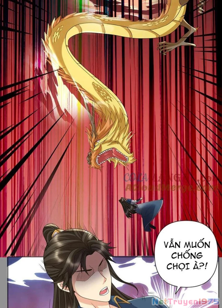 Ta Có Thể Đốn Ngộ Vô Hạn Chapter 259 - Trang 2