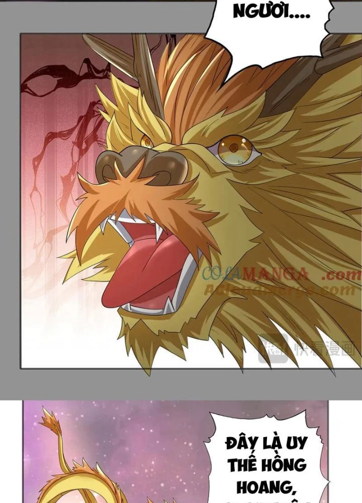 Ta Có Thể Đốn Ngộ Vô Hạn Chapter 259 - Trang 2