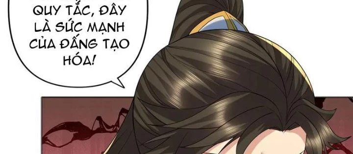 Ta Có Thể Đốn Ngộ Vô Hạn Chapter 259 - Trang 2