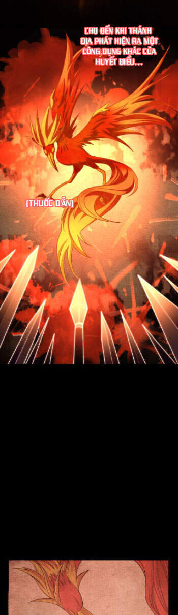 Ta Có Thể Rút Ra Thuộc Tính Chapter 6 - Trang 2