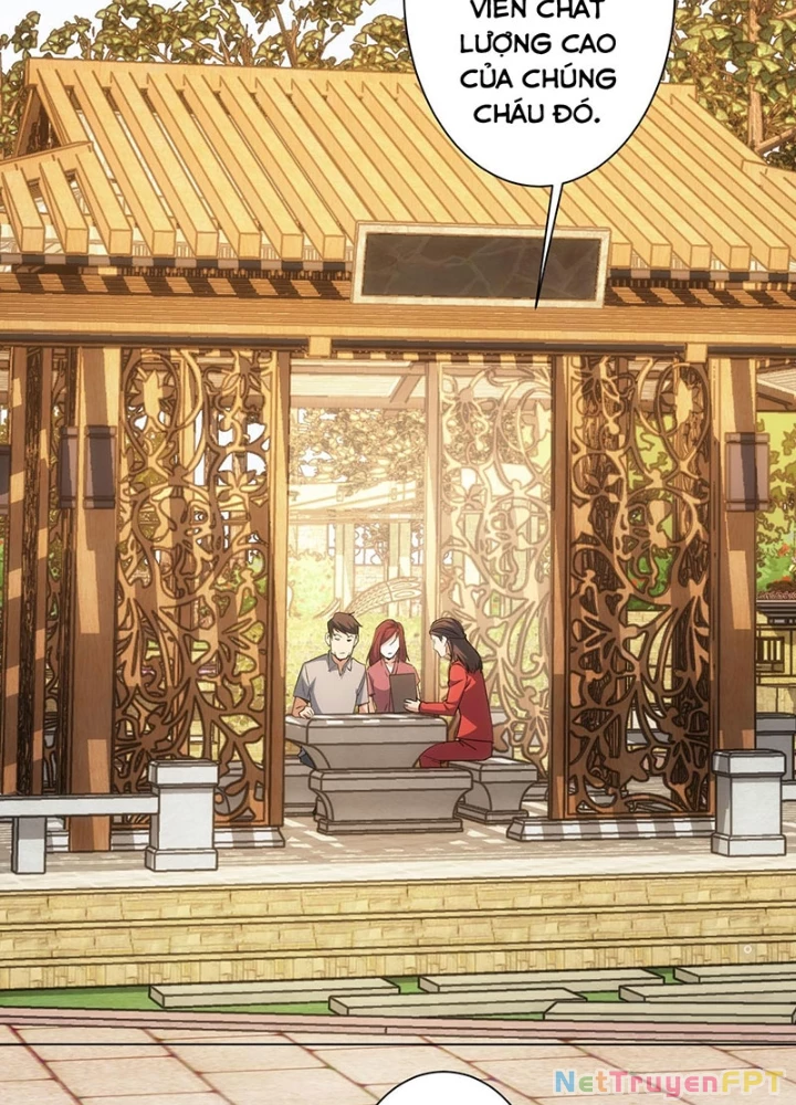 Ta Có Thể Thấy Tỉ Lệ Thành Công Chapter 212 - Trang 2