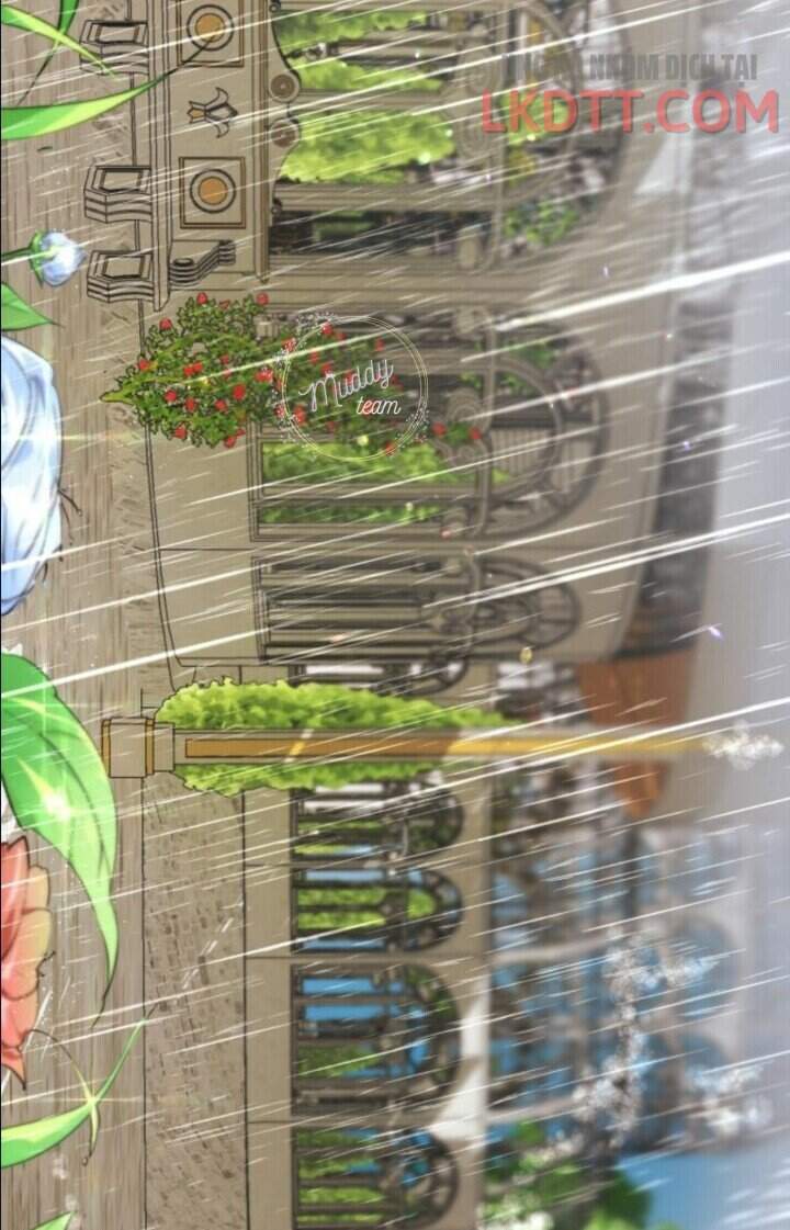 Ta Đã Từng Mong Nàng Biến Mất Chapter 6 - Trang 2