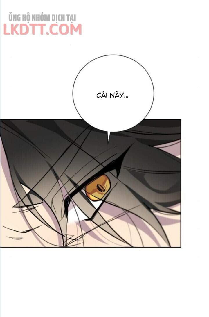 Ta Đã Từng Mong Nàng Biến Mất Chapter 8 - Trang 2