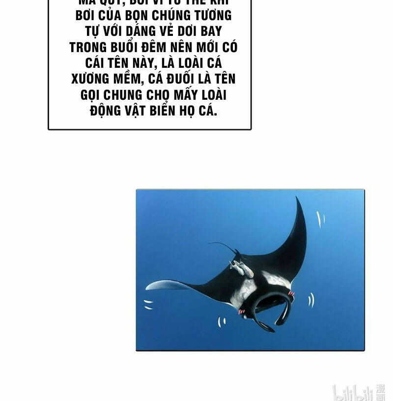 Ta Đây Chính Là Tuyệt Thế Cao Thủ Chapter 28 - Trang 2