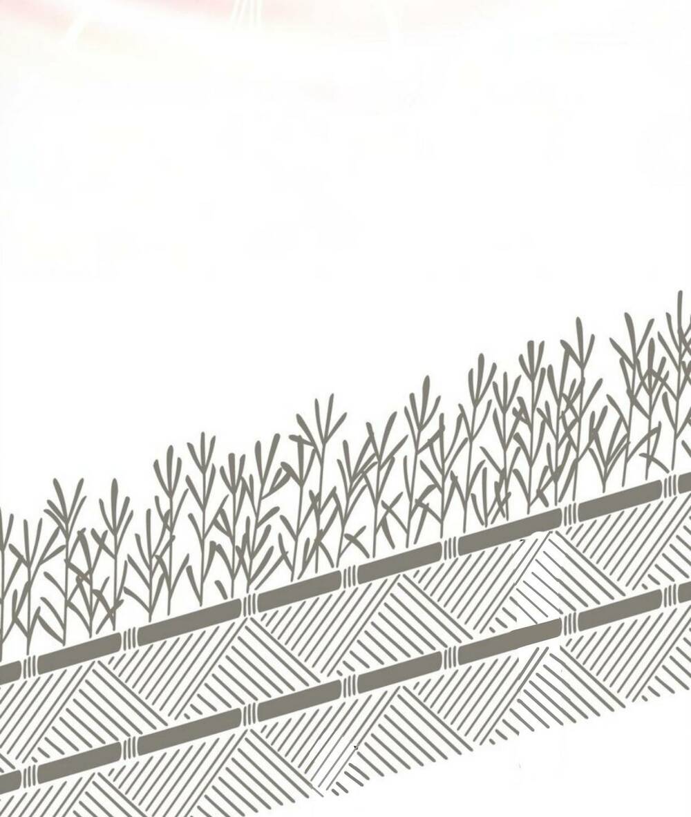 Ta Đây Chính Là Tuyệt Thế Cao Thủ Chapter 8 - Trang 2