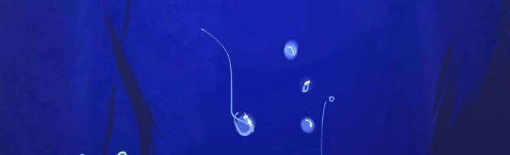 Ta Diệt Sát Chúng Thần Chapter 53 - Trang 2