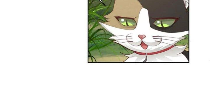 Ta Diệt Sát Chúng Thần Chapter 75 - Trang 2