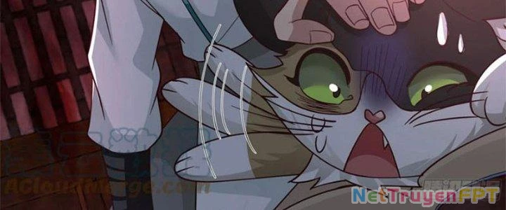 Ta Diệt Sát Chúng Thần Chapter 75 - Trang 2