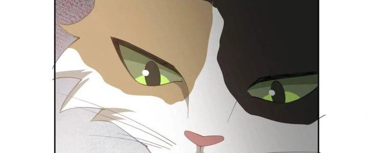 Ta Diệt Sát Chúng Thần Chapter 76 - Trang 2